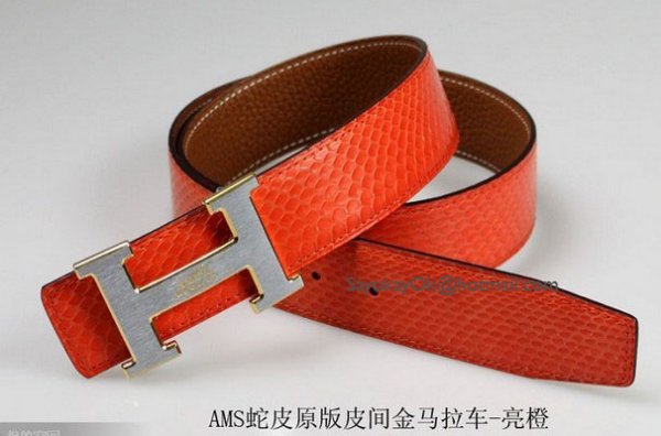 Hermes Snake Stripe Leather Reversible Belt Hermes Logo Buckle 0